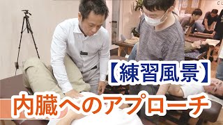 《練習風景》内臓へのアプローチ③【疲労回復協会セミナー】