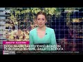 Нищить ворога наші військові показали як працює український БПЛА розвідник shark