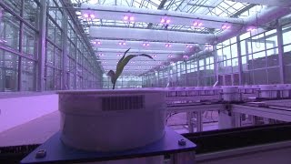 Nebraska Innovation Campus: Greenhouse Innovation Center