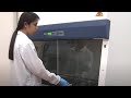 Labculture® Class II Biosafety Cabinet LA2 G2 | Esco Lifesciences Group