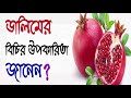 ডালিমের বিচির উপকারিতা জানলে আর ফেলবেন না health tips