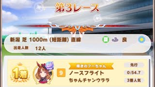 【ウマ娘】ノースフライト/リーグオブヒーローズ(新潟芝1000m・直線)1着