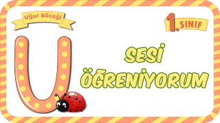 U Sesi Öğretimi 😴 Okunuşu ve Yazılışı 🛫 1.Sınıf #2024