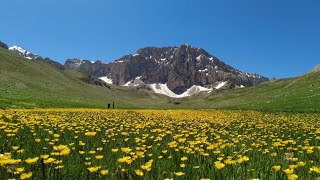 Merg yaylası ziyaretçi çekmeye devam ediyor. #trtbelgesel #belgesel #mountains