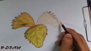 How to Draw & Shade a Leaf - Sketching Practice Tutorial