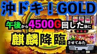 【沖ドキ！GOLD】午後から4500G回した後に麒麟降臨させてみた