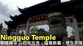 【4K】Ningguo Temple / Summer 2020 / Walking in Shanghai / Shanghai street view