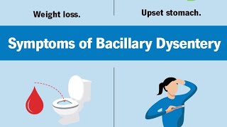 Dysentery: Understanding, Prevention, and Treatment