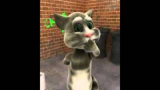 Cat singing Happy Birthday.FLV