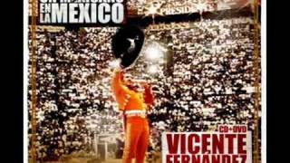 vicente fernandez - la diferencia