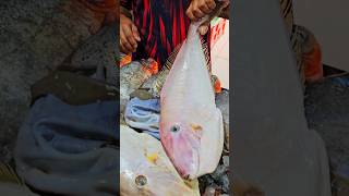 LEATHER JACKET ഉടുപ്പൂരി #trending #viralvideo #instagram #shorts #reels #funny #fishing #food #fish