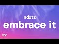 Ndotz - Embrace It (Lyrics) 