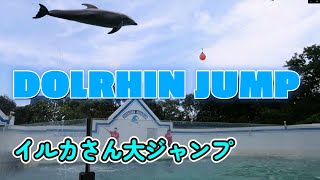 【おでかけ】癒しの葛西臨海水族園 イルカ大ジャンプ Healing time @Kasairinkai aquarium in Japan