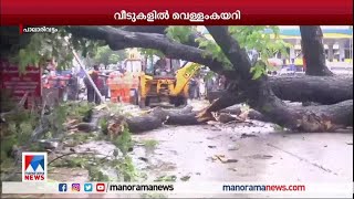 കനത്ത മഴ ; പാലാരിവട്ടത്ത് റോഡിലേക്ക് മരം വീണു |Rain |Palarivattom |tree