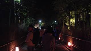 【京都・嵐山花灯路2019】 嵯峨野の竹林ライトアップ