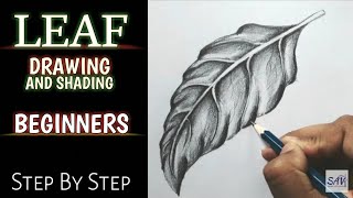 HOW TO DRAW AND SHADE A LEAF - Step By Step