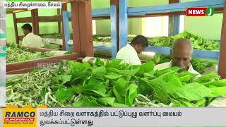 மத்திய சிறை வளாகத்தில் பட்டுப்புழு வளர்ப்பு மையம் துவக்கம்