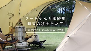 ペキニーズのフーちゃんとキャンプin御殿場。ミニマルワークスのシェルターGとVハウスで晴天の秋を過ごしました