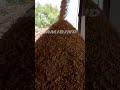 Wood Chipping Machine #viral #shorts #trending #woodchips Buy Now-09555086767