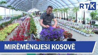 Mirëmëngjesi Kosovë - Kronikë - Kujdesi për lulet  04.05.2019