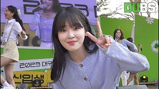 [DUBS] 오마이걸 와서 살짝 설렜어 난💕 _대구대 신입생 환영회