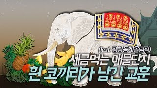 평창올림픽, 그 화려함 뒤에는 흰 코끼리가 있다?