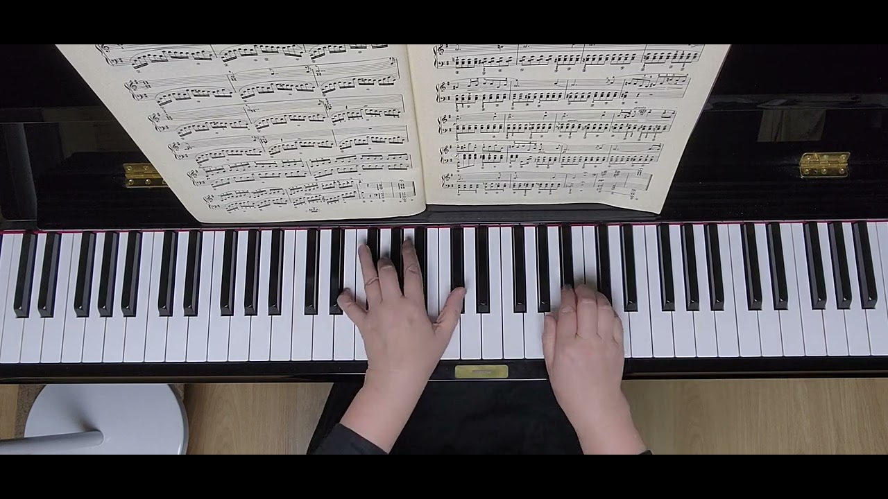 Chopin Preludes Op.28 No.4 - YouTube