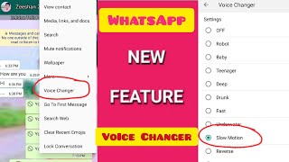 FM WhatsApp Voice Changer New Feature 2021 | How To Activate/Enable Voice Changer In GB/FM WhatsApp