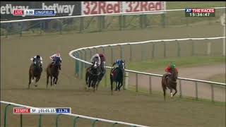 Racehorse shows incredible burst of speed