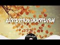 ปลายทางของสายลม ປາຍທາງຂອງສາຍລົມ. 0fficial audio oxmeduza