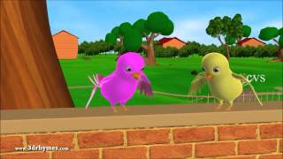 Two little bird kids animation Rhymes kids songs