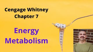 Cengage Whitney Nutrition Chapter 7 Lecture Video (Energy Metabolism)