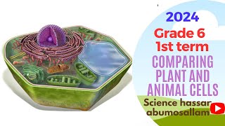 Comparing Plant and Animal Cells Prim 6 1st Term 2024 Unit 1 Concept 1 Lesson 4