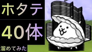 ネコホタテ40体溜めてみた！　にゃんこ大戦争　プラネタリウムラブ