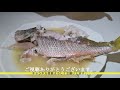 how to make hard boiled fish