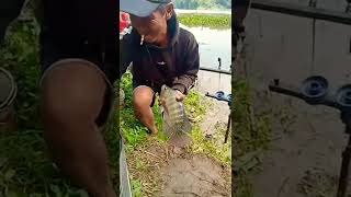 EKSPRESI DAPAT IKAN (MANCING MANIA) #shorts