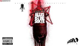 ROYAL TS (SIDO \u0026 B-TIGHT) DAS MIC \u0026 ICH - ALLES IST DIE SEKTE - ALBUM - TRACK 20