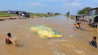 Viral video | Most Interesting fishing technique, Amazing fishing video