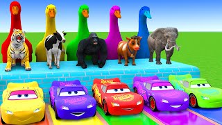 5 Giant Duck Cartoon,Cow,Elephant,Tiger,Lion,Dinosaur,Paint Wild Animals Crossing Fountain Animation