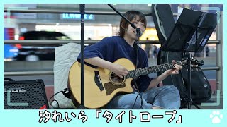 2022.7.8 - 汐れいら「タイトロープ」【路上ライブ】