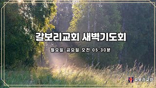 갈보리교회(자양동) 2022.9.7(수) 새벽기도회