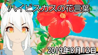 【日刊動画】2019年8月12日 ハイビスカスの花言葉