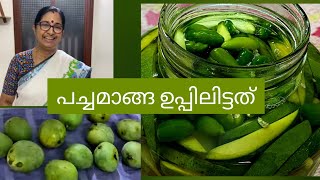 പച്ചമാങ്ങ ഉപ്പിലിട്ടത് || ഏറെ നാൾ കേടുകൂടാതിരിക്കും || Uppu Manga