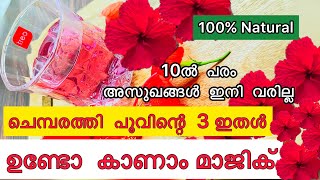 ഈ അത്ഭുത സസ്യം വീട്ടിൽ ഉണ്ടോ 3 ഇതൾ മതി ചെമ്പരത്തി കൊണ്ട് ഇങ്ങനെ ചെയ്യൂ Health Tips #Kitchentips