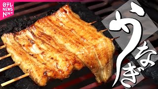 【うなぎ】絶品うな重！100年の味 / 仰天！デカ盛りうな重