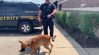 Belmont County Sheriff's Office welcomes new K-9