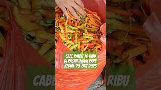 cabe rawit terus meroket Di pasar induk pare 28 Okt 2023 #shorts #short