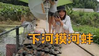 摸河蚌了，梅子当摄影师，回家叫几个亲朋好友热闹一下【梅子加油】