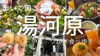 【湯河原】温泉街で歩いて周るグルメ巡り！・激安クッキーバイキング・全国から訪れる名店パン屋・モーリシャス料理・伝統のきび餅・五所神社参拝・大自然の中で川の音をBGMに足湯