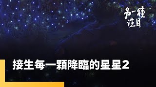 《接生每一顆降臨的星星》EP.2 結婚生子才完整？ 生活可以有更多種樣貌｜另一種注目 #鏡新聞